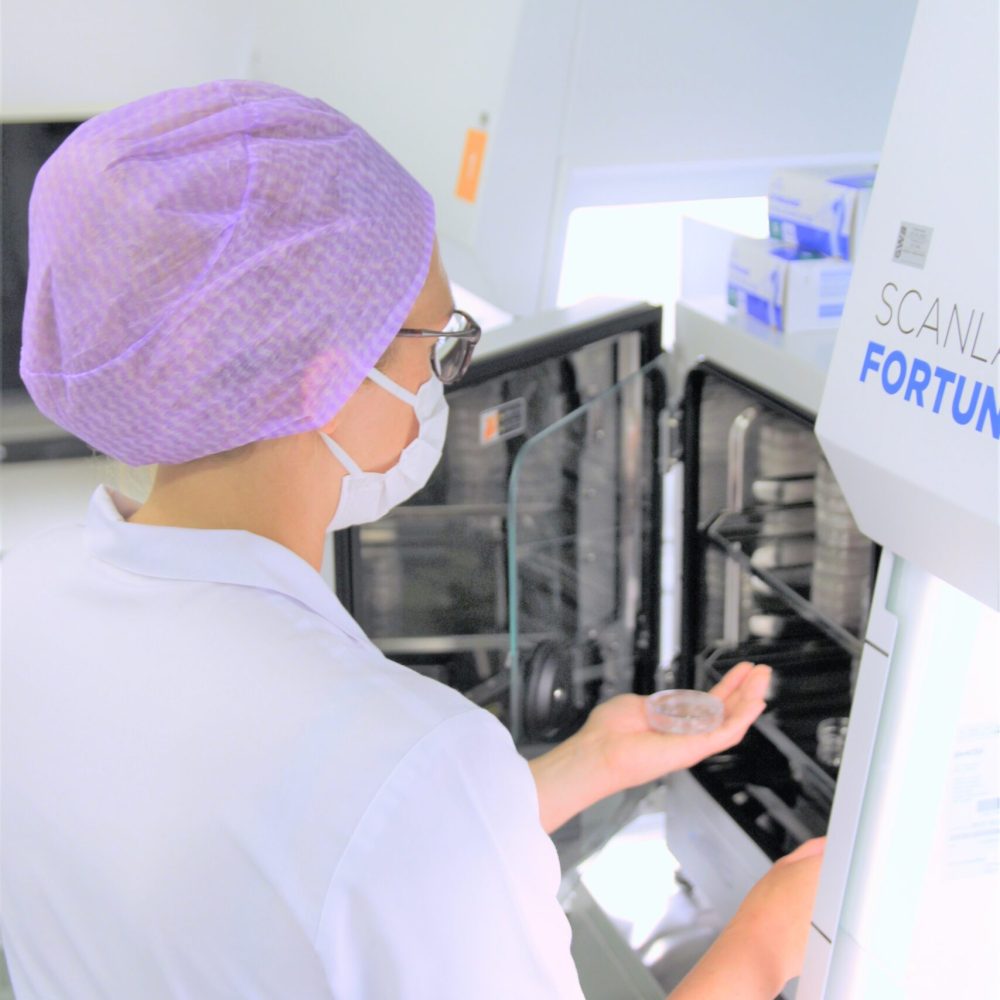 In vitro fertilization incubator